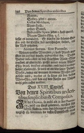 Das XXIII. Capitel. - Das XXIX. Capitel.