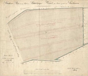 Situations-Plan über einen Theil der Schwetzinger Hardt, als Neurod [1850] verpachtet an Sandhausen