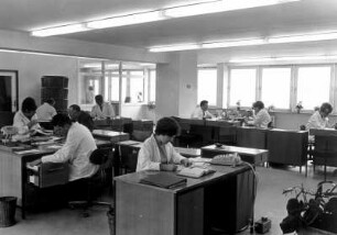 Mitarbeiter eines Unternehmens arbeiten in einem Großraumbüro