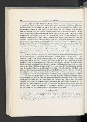 4. Die Muskulatur.