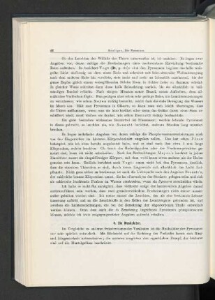 4. Die Muskulatur.