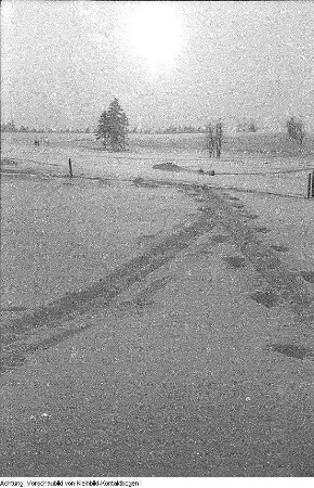 Winter, Landschaften, Max Hille beim Skilauf, beleuchteter Weihnachtsbaum, Januar-Februar 1956