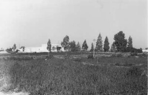 Siedlung : Gebäude und Plantage