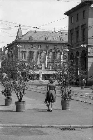 Ausstattung der Kaiserstraße in Höhe des Marktplatzes mit Felsbirnen-Bäumchen