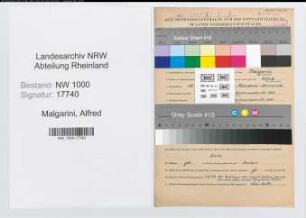 Entnazifizierung Alfred Malgarini, geb. 18.08.1905 (Grubensteiger)