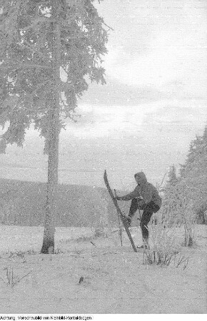 Winter, Mirze auf dem Winterberg