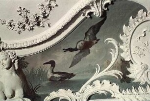Enten