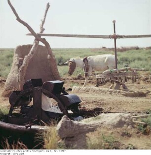 Irak: Esel an der Wasserpumpe