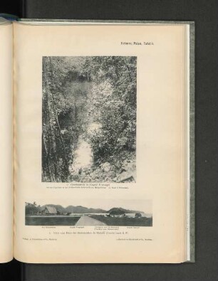Krämer, Palau, Tafel 9.