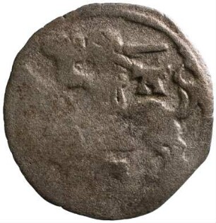 Münze, Denar, 1501/1506