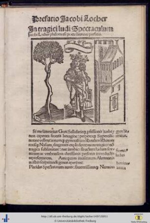 Tragoedia de Turcis et Soldano.