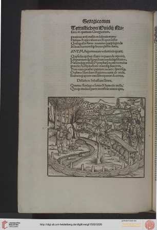 Georgica, Liber IV