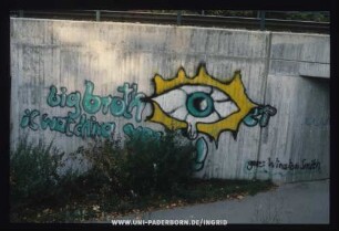 big brother is watching you