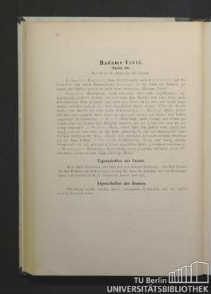 Madame Verté. Tafel 18.