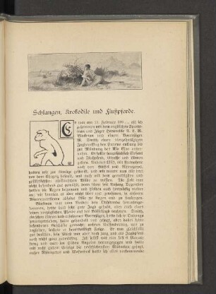 Schlangen, Krokodile und Flußpferde.
