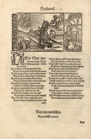 Von den menschen. Das zwölfft Capitel.
