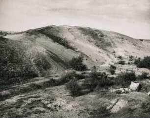 Brandenburg. Der Gosener Berg am Seddinsee (82 mtr. hoch, eine Sanddüne)