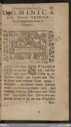 Dominica XVI. Post Trinitatis, Evangelium Luc. 7. Capite