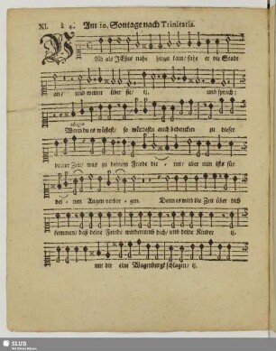 XI. Am 10. Sontage nach Trinitatis: Vnd als Jesus nahe hinzu kam