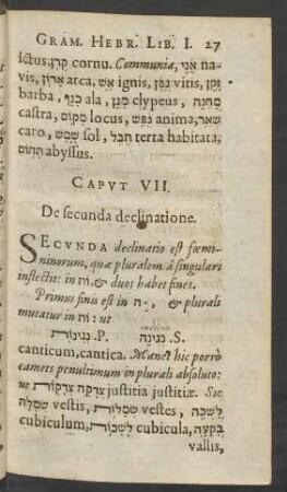 Caput VII. De secunda declinatione.