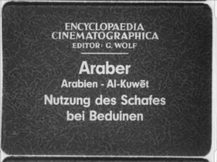 Araber (Arabien, Al-Kuwet) - Nutzung des Schafes bei den Beduinen