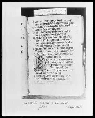Psalterium cum Canticis — Initiale D, Folio 29recto
