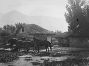 Gehöft mit Pferden : Rumänien, Gehöft mit Pferden in Greci in der Dobrudscha.
