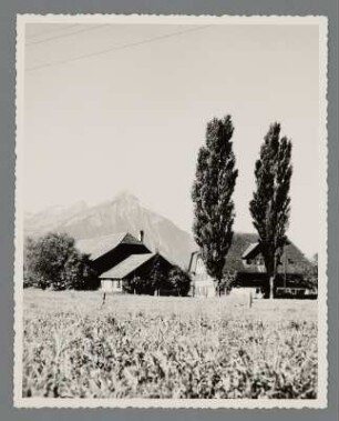 Neuhaus am Thunersee
