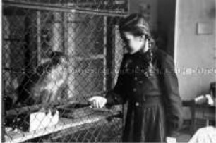 Tiere für den Pankower Schulzoo aus Frankfurt