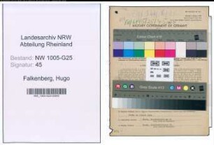 Entnazifizierung Hugo Falkenberg , geb. 31.12.1903 (Kaufmann)