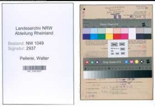 Entnazifizierung Walter Pellerei , geb. 21.05.1912 (Maurermeister)