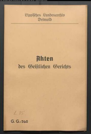 Friedrich Bollhöfer, Bruder von Jürgen Bolhöfer in Schlangen gegen Hans Henrich Schlömer, Sohn von Jürgen Schlömer in Schlangen, und Anna Maria Runte, Tochter von Jost Henrich Rundte in Schlangen, wegen einer Eheklage