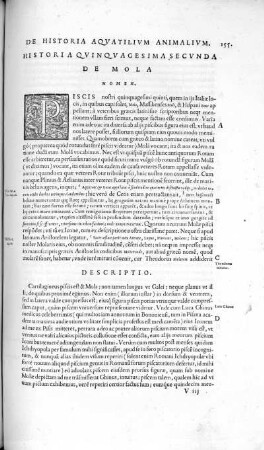 Historia Quinquagesima Secunda. De Mola