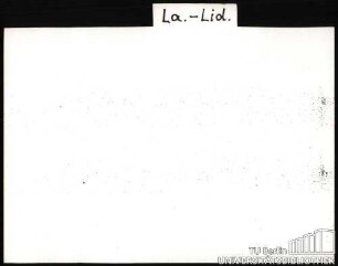 DAHLIE: Sorten LA-LID