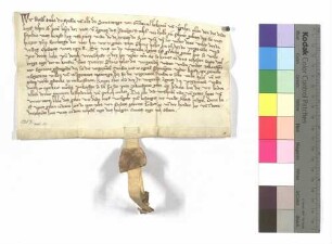 Schwester Ottilie, Äbtissin in Gnadental, bekennt, dass Agnes des Isemengers Tochter von Schwäbisch Hall, eine Gült dem Kloster gegeben hat, die liegt auf der Rohrwiese, gelegen unter dem Weiler zum Burberge; ausgestellt o.O., 4. Mai 1313 (11. Tag des heiligen Kreuzes); Pergament, Siegel: Kloster Gnadental.