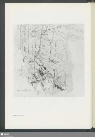 Kat.-Nr. B [28]: Landschaftsstudie (Loschwitz)