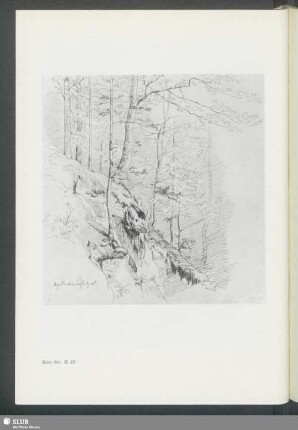 Kat.-Nr. B [28]: Landschaftsstudie (Loschwitz)