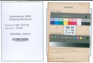 Entnazifizierung Johann Schnitzler , geb. 08.09.1893 (Kaufmann)