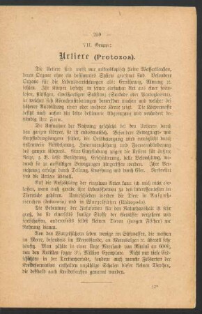 VII. Gruppe: Urtiere (Protozoa).