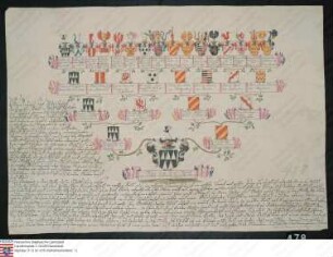 Ahnenprobe des Philipp Hugo Wambold v. Umstadt. - ausgefertigt 1791 Oktober 10, Pergament, Zeichner Heinrich Usinger