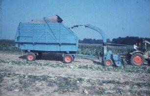 Fotografie: Erntetechnik, Zuckerrübe, Schlegelfeldhäcksler, Feldhäcksler gezogen, Pickup, Blattbergung