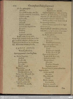 Caput XVIII. Vina Catholica