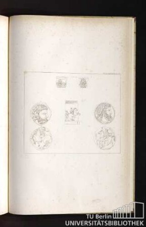 Pl. XII.