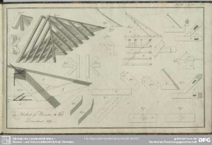 Tab. XXV. Fig. 435-453