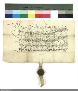 Revers Reinhards Graf von Rieneck bezüglich der Belehnung mit dem Dorf Wolfsmünster durch Hartmann [Burggraf von Kirchberg], Abt von Fulda