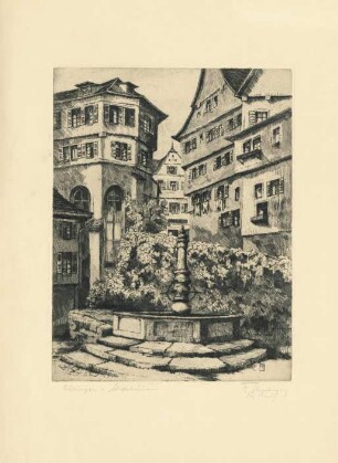 Tübingen. Stiftsbrunnen