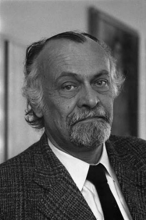 BNN-Interview mit dem Beauftragten für Umweltschutz der Stadt Karlsruhe Oberbaurat Ernst Eduard Ulbrich