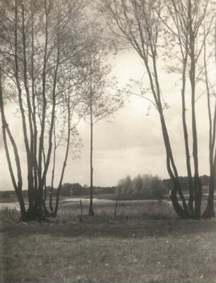 Oberlausitzer Niederung. An der Schwarzen Lache bei Kreba, von 1936-1947 Heideanger