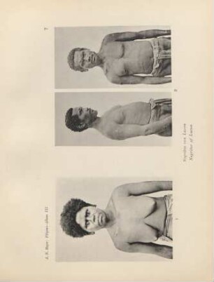 7. Negritos von Luzon = Negritos of Luzon