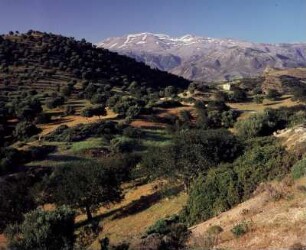 Kreta. Der Ida vom Süden, oberhalb von Agía Galíni